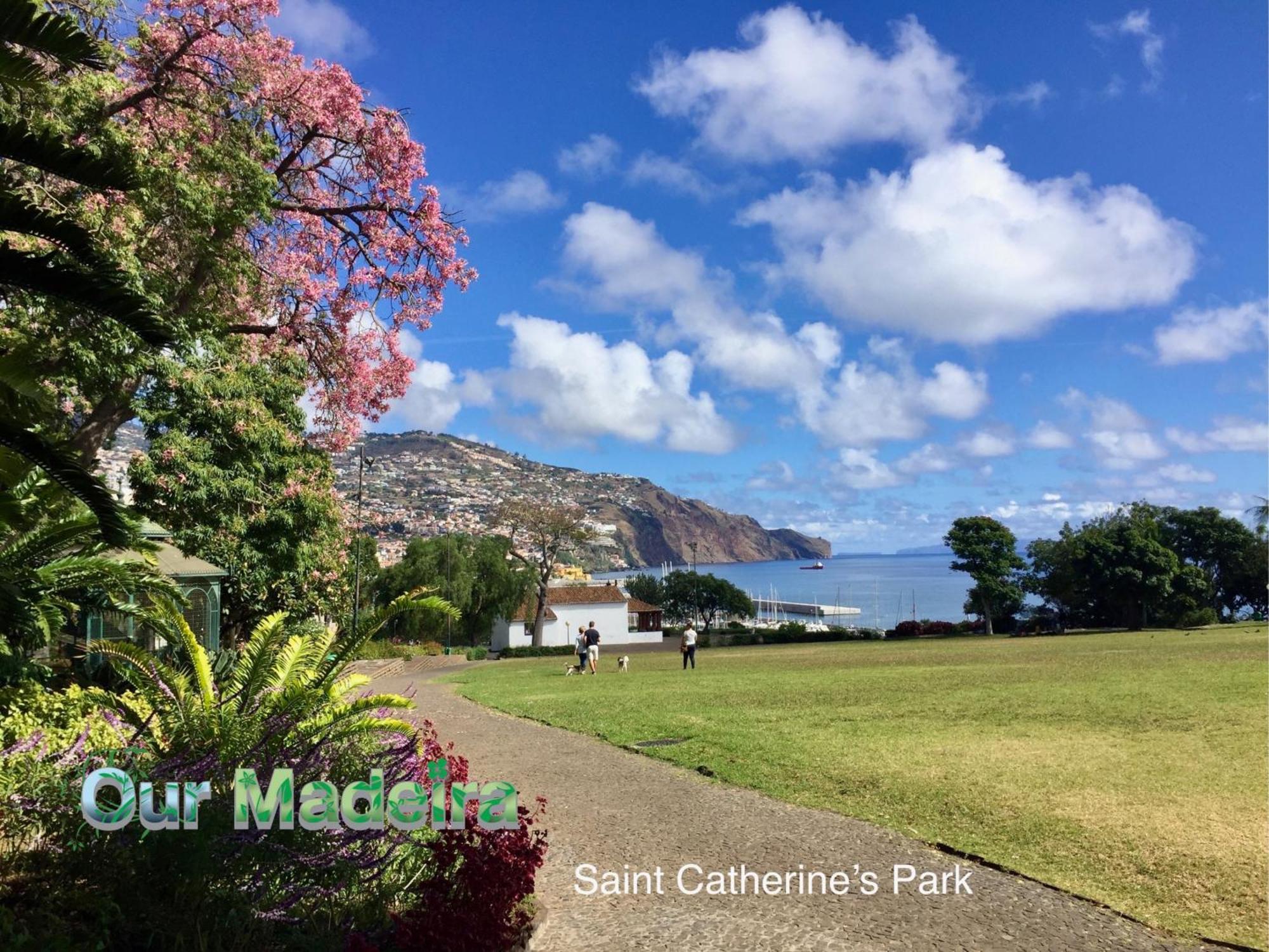 Ourmadeira - Heart Of Old Town I Apartment Funchal  Ngoại thất bức ảnh