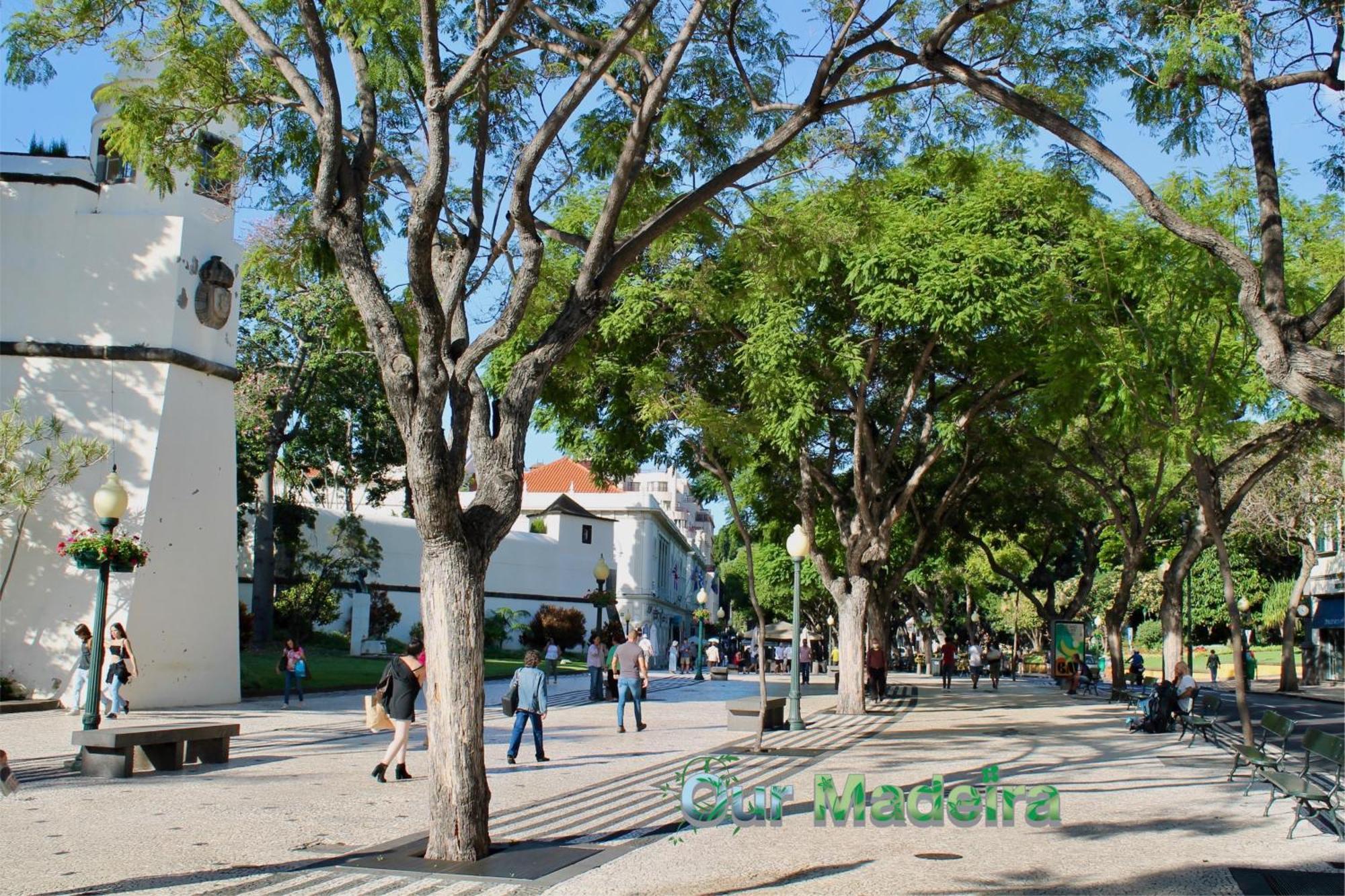 Ourmadeira - Heart Of Old Town I Apartment Funchal  Ngoại thất bức ảnh