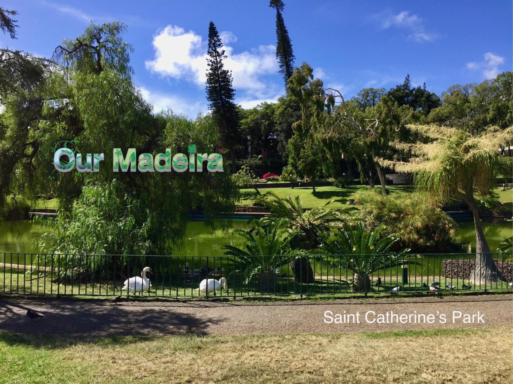 Ourmadeira - Heart Of Old Town I Apartment Funchal  Ngoại thất bức ảnh